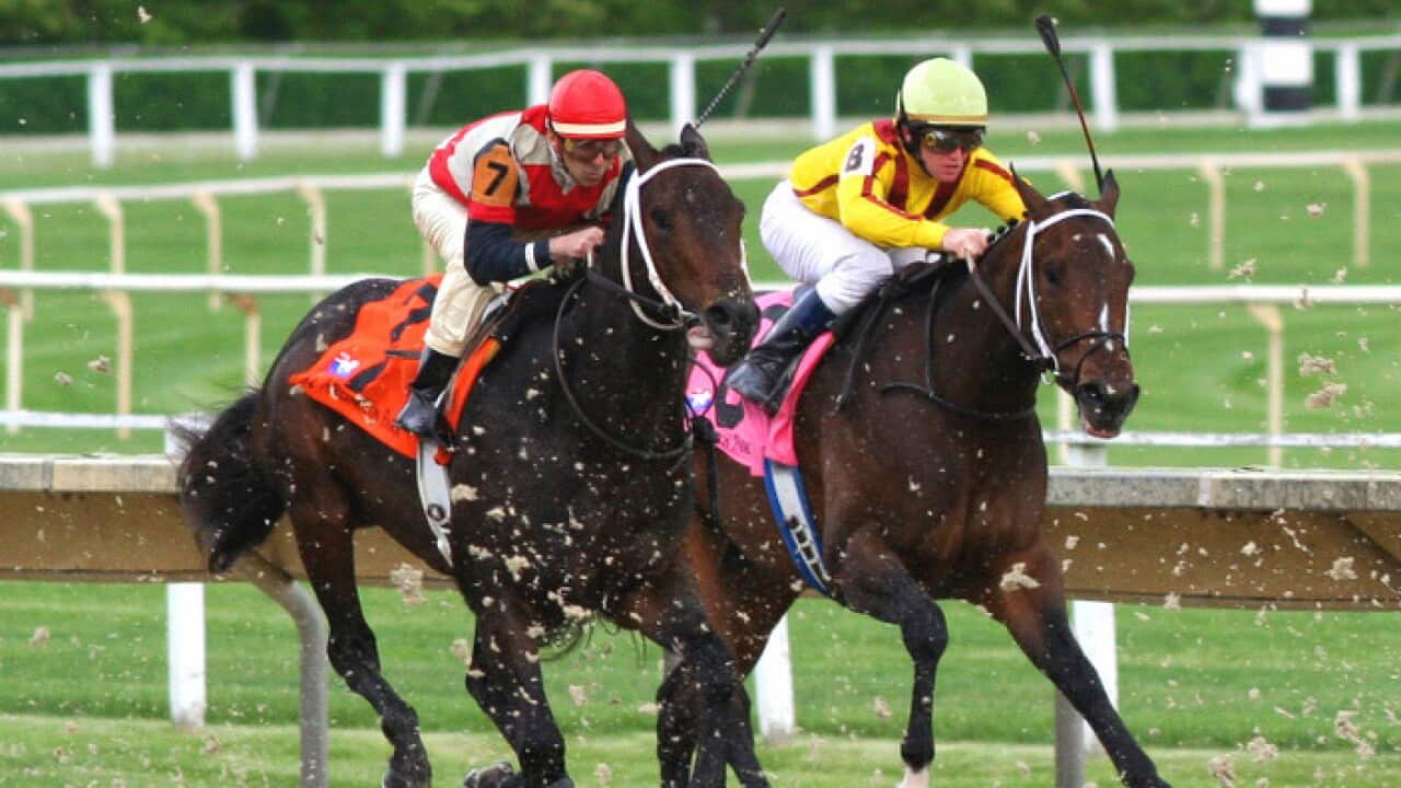 Horse Racing