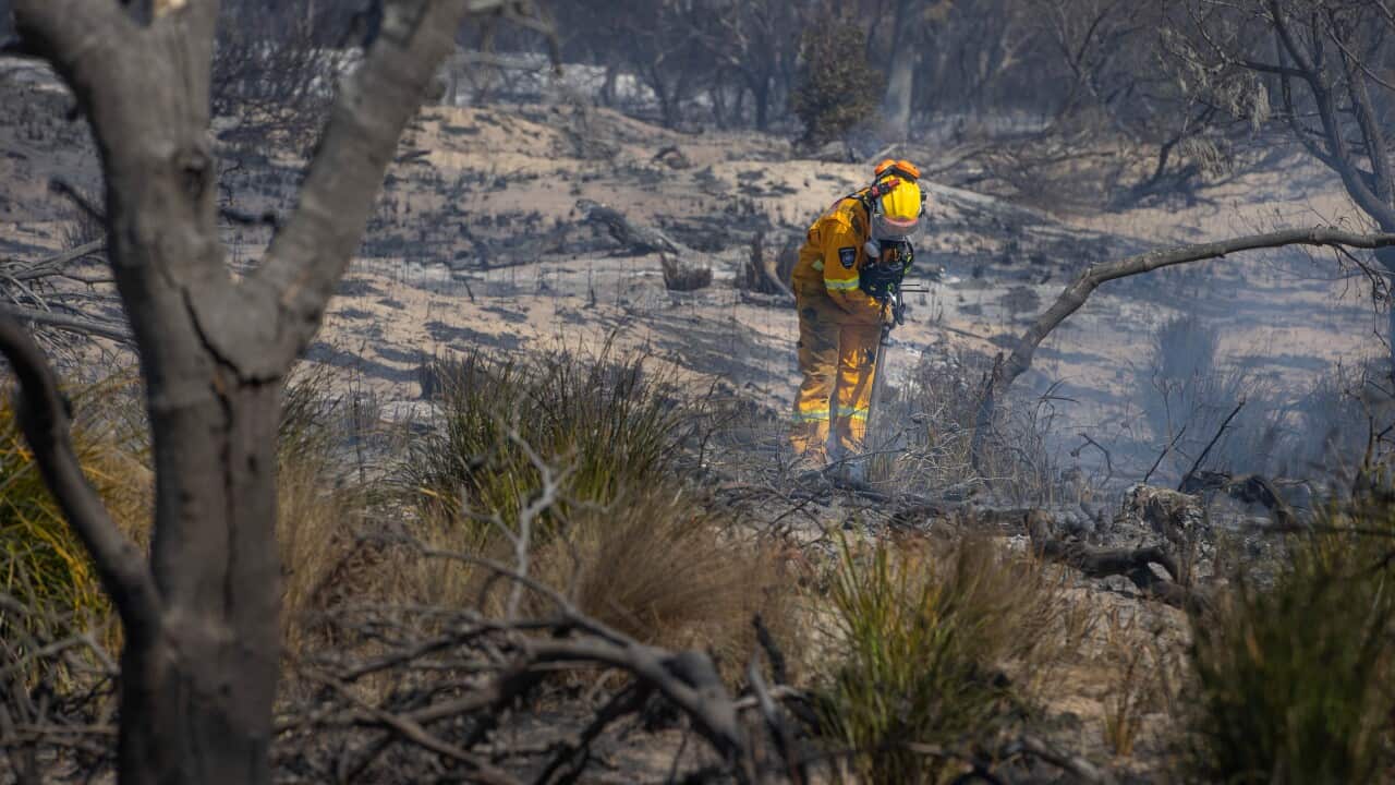 BUSHFIRES TASMANIA
