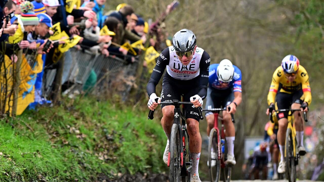 tour of Flanders