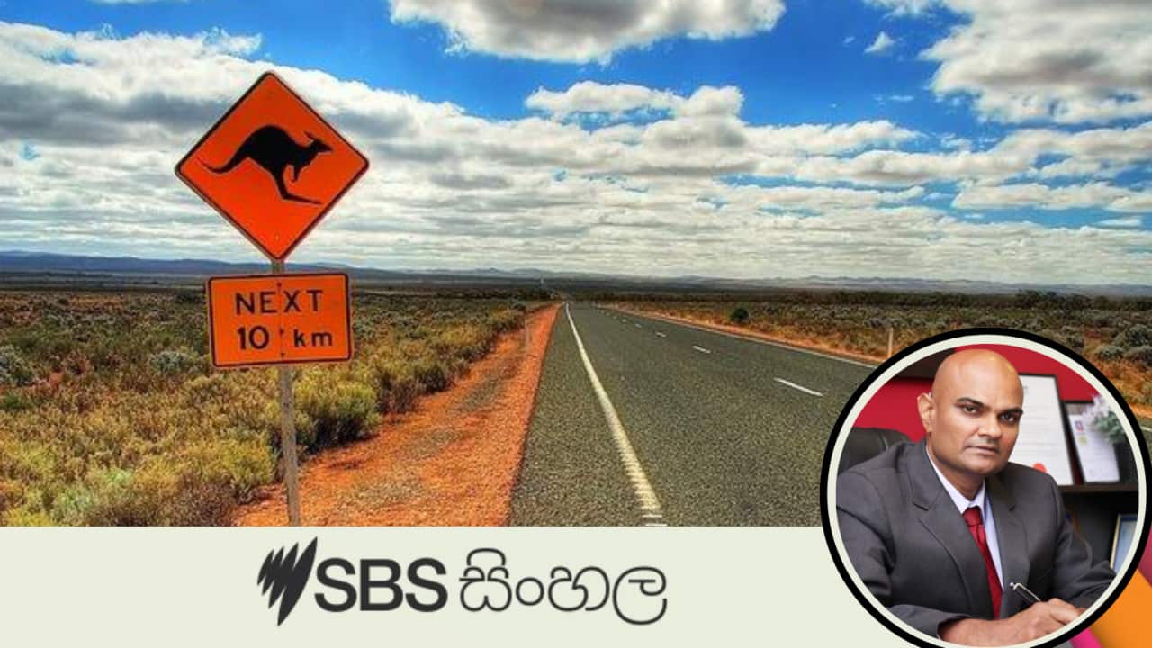 491 Visa Misconceptions.png