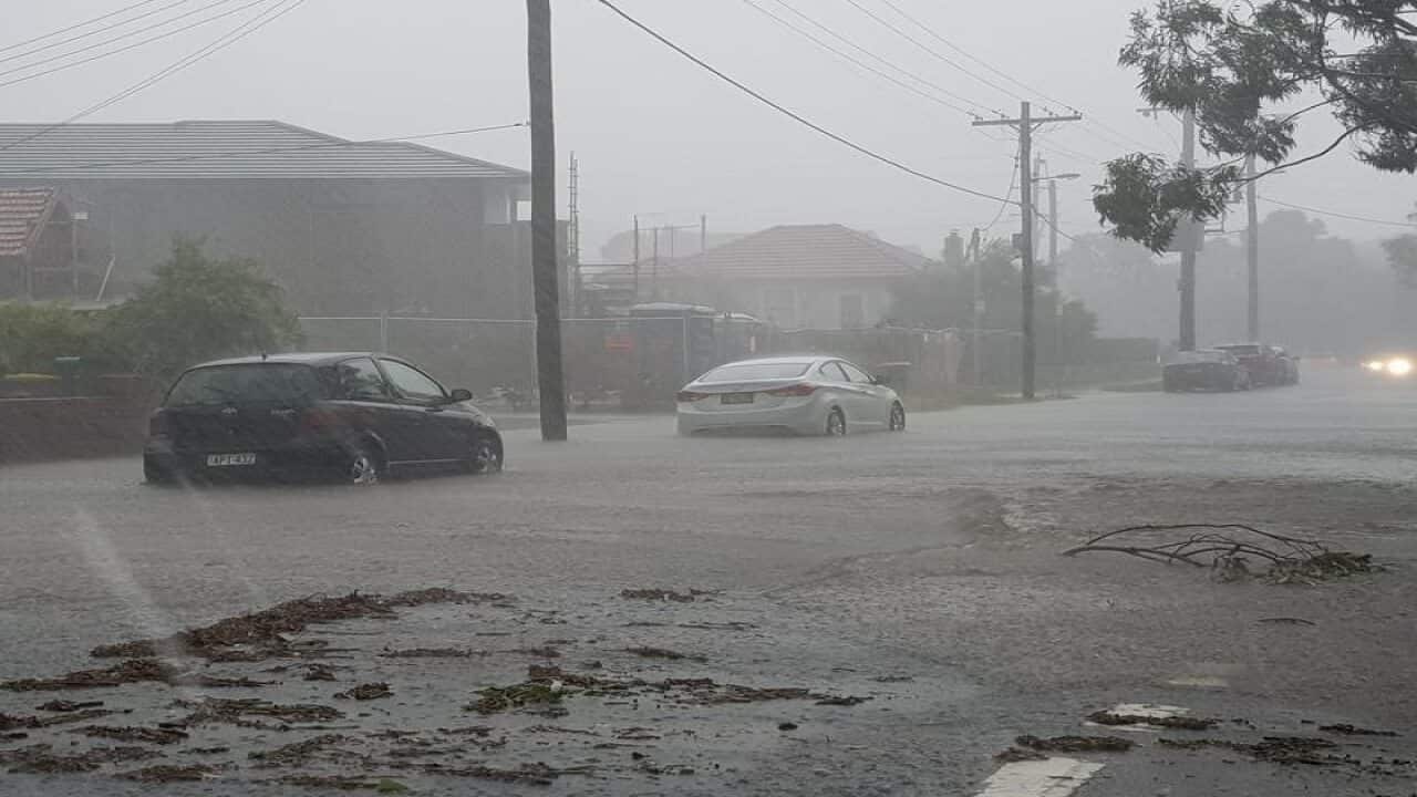 WET WEATHER SYDNEY