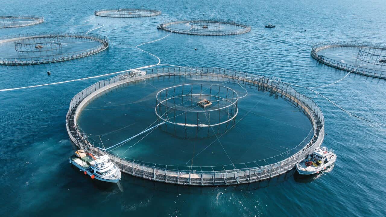 A round wall like object in a body of water surrounded by boats.