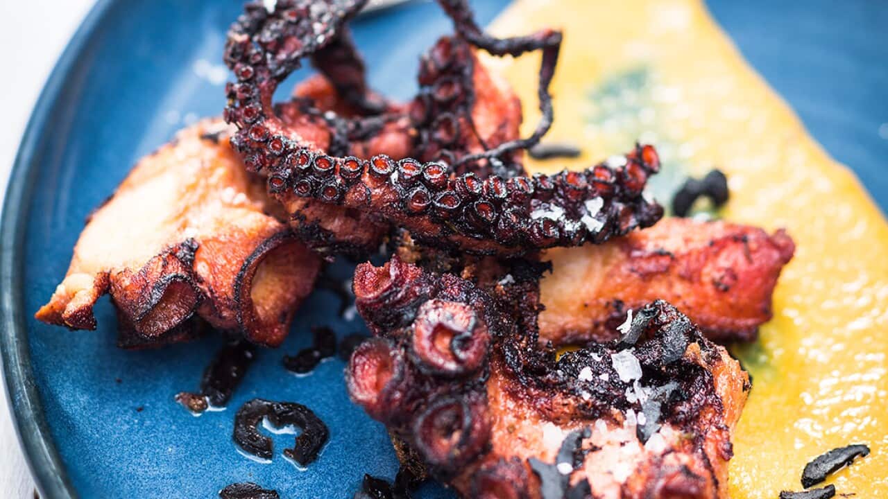 Fried octopus, olives and mandarin