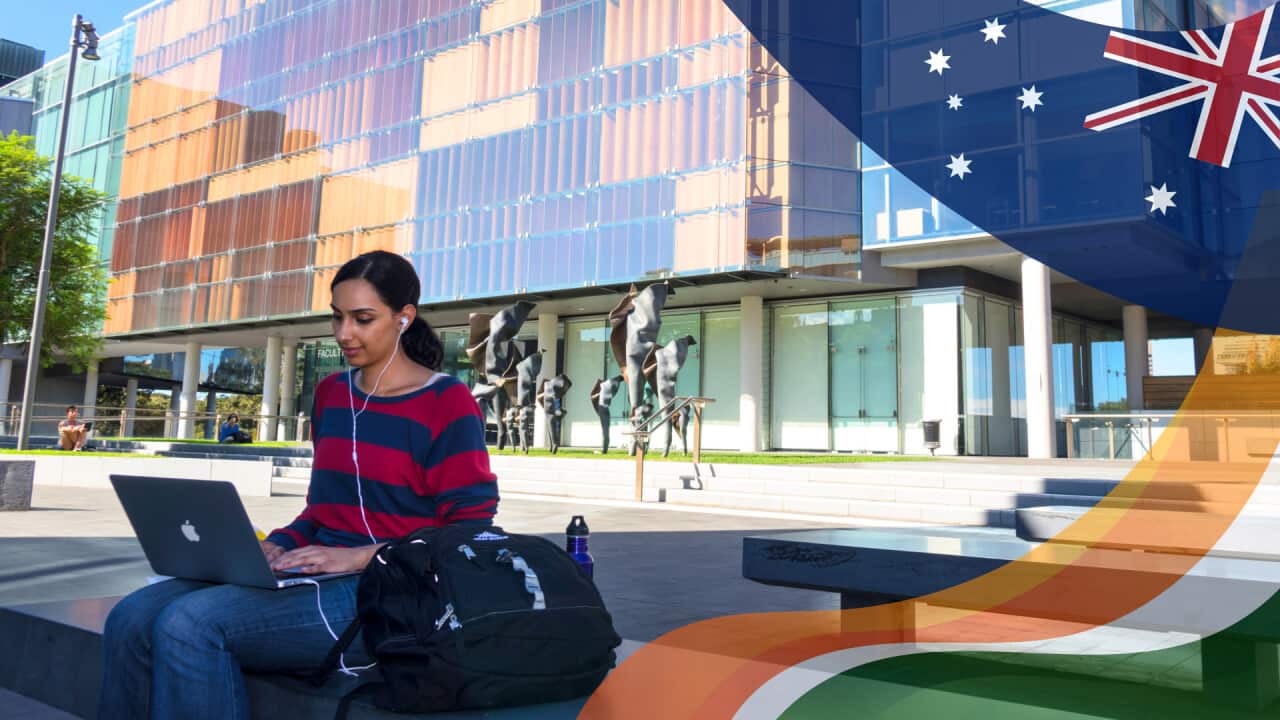 Student visa changes SBS Hindi.png