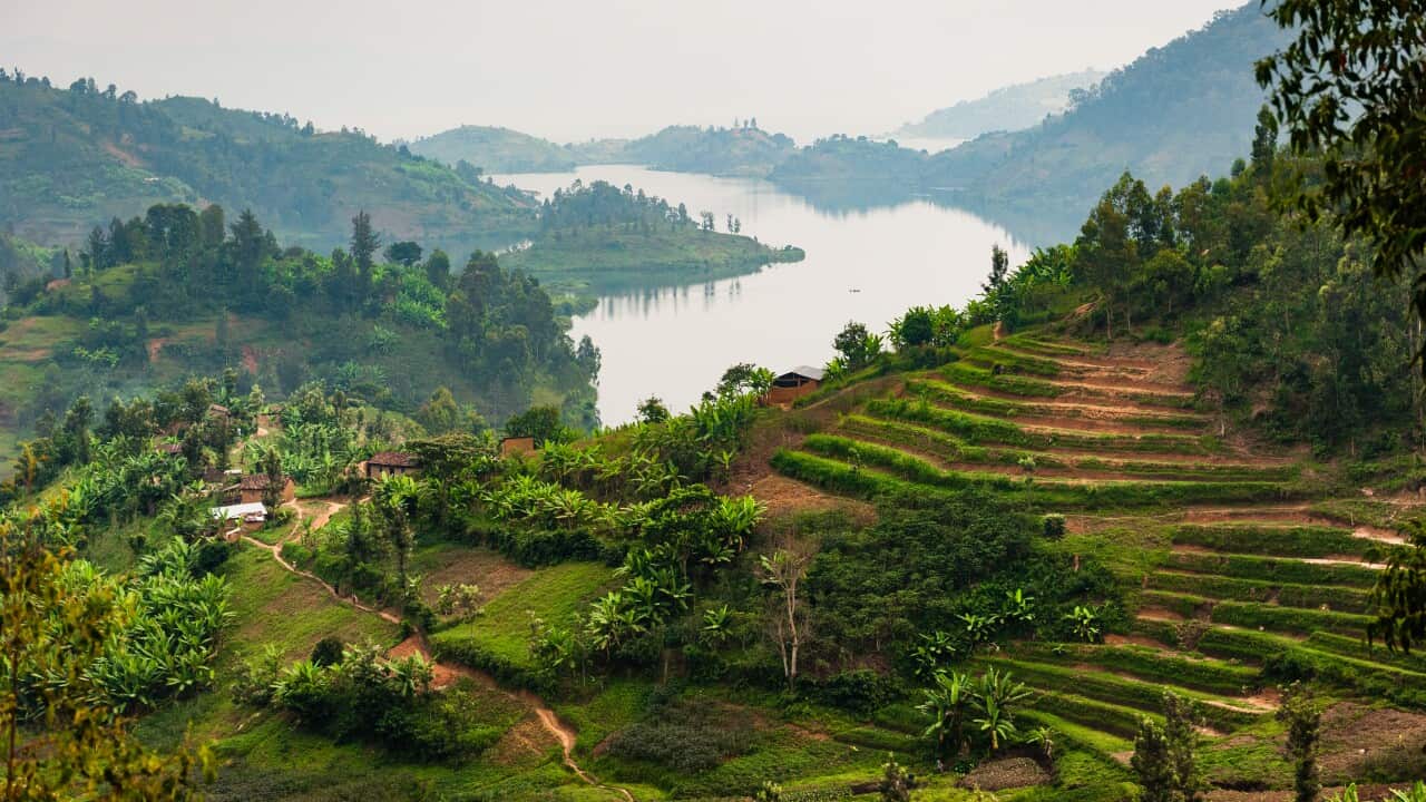 Farmland on steep hillside near Lake Kivu, Rwanda