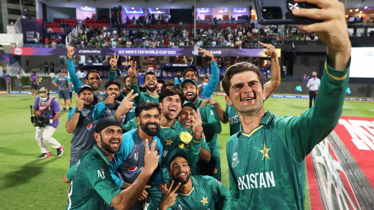 Pakistan beats new zealand