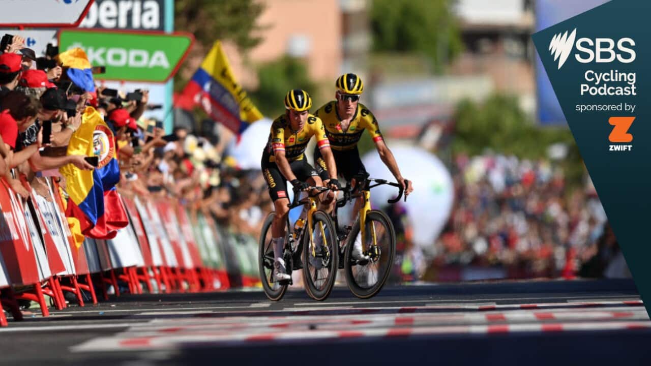 Roglic after his fall on stage 16
