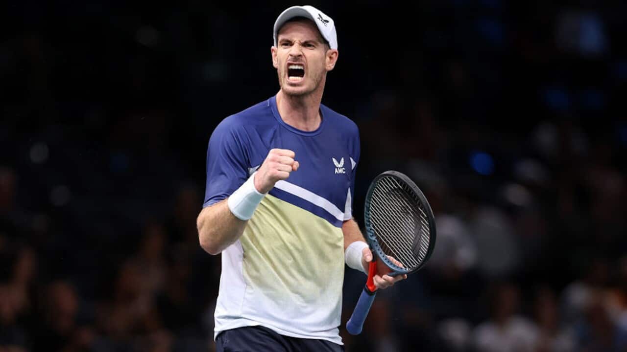 Andy Murray celebrates a point during a tennis match