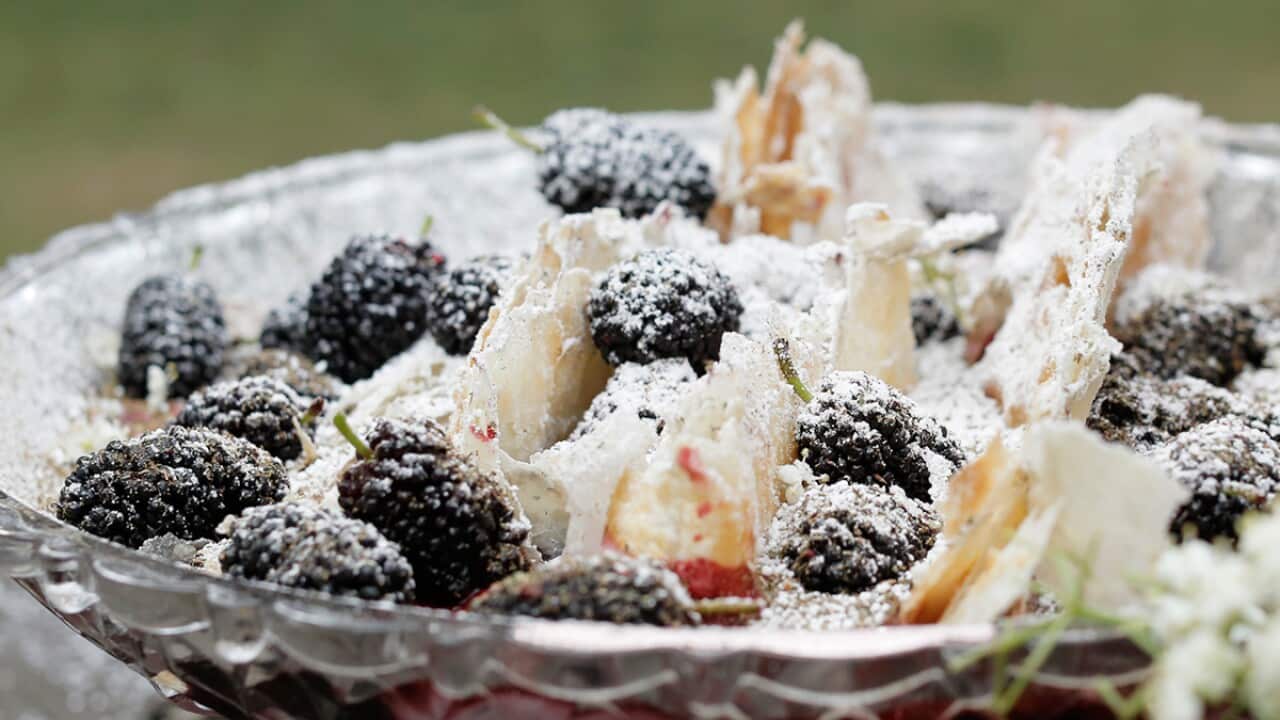 Image for read more article 'READ MORE'