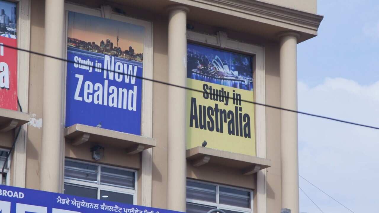 A shopfront in Punjab advertising student visa services (SBS).jpg