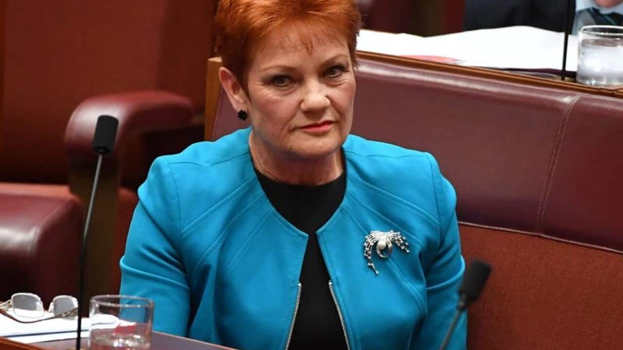 One Nation leader Pauline Hanson