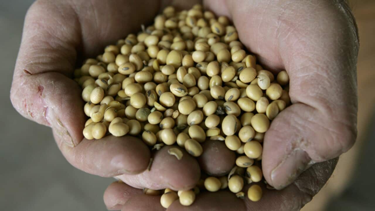 China has retaliated against US with new tariffs on soybeans.
