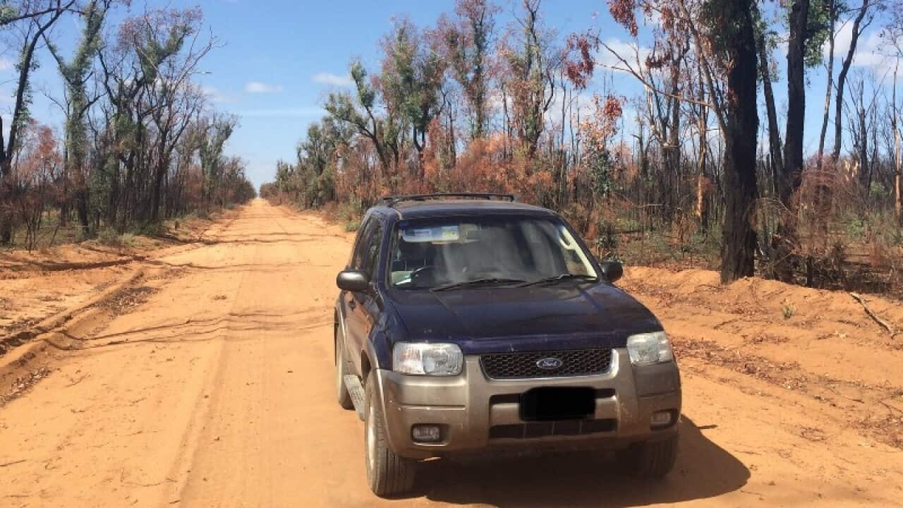 Backpacker travel Australia bush outback car