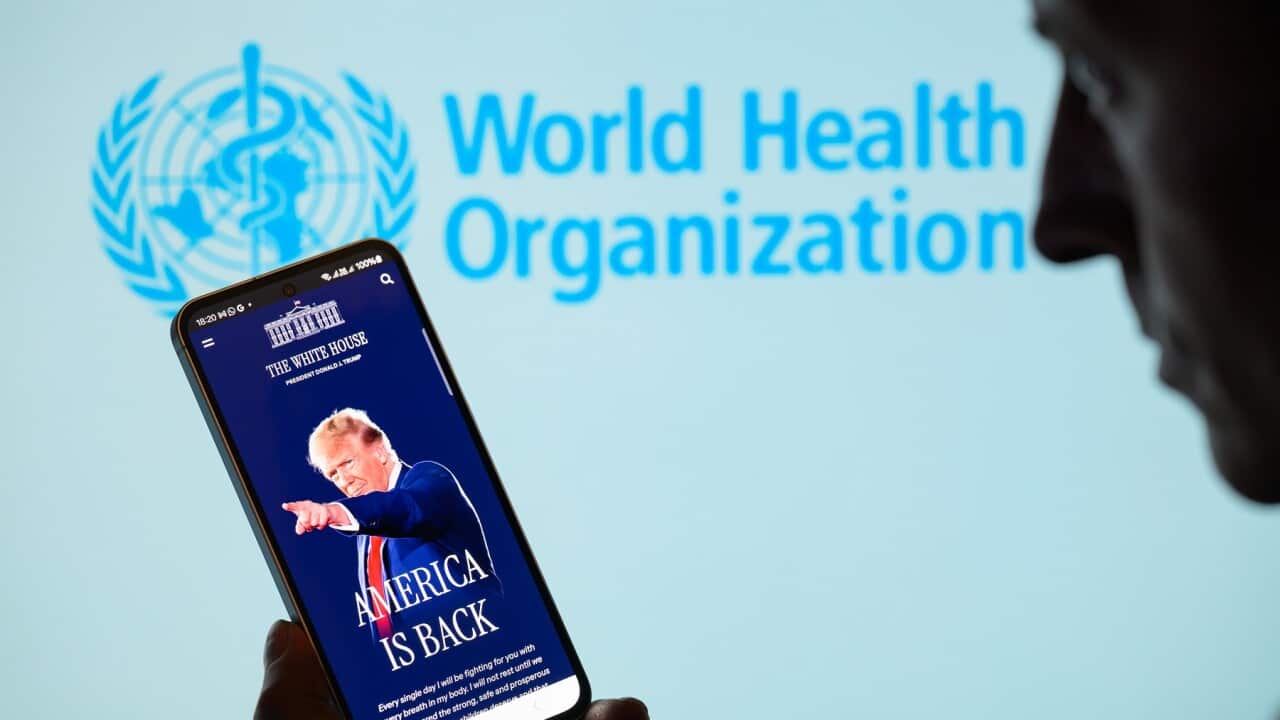 President Donald Trump image on display of White House website on phone, in front of background with World Health Organization logo.