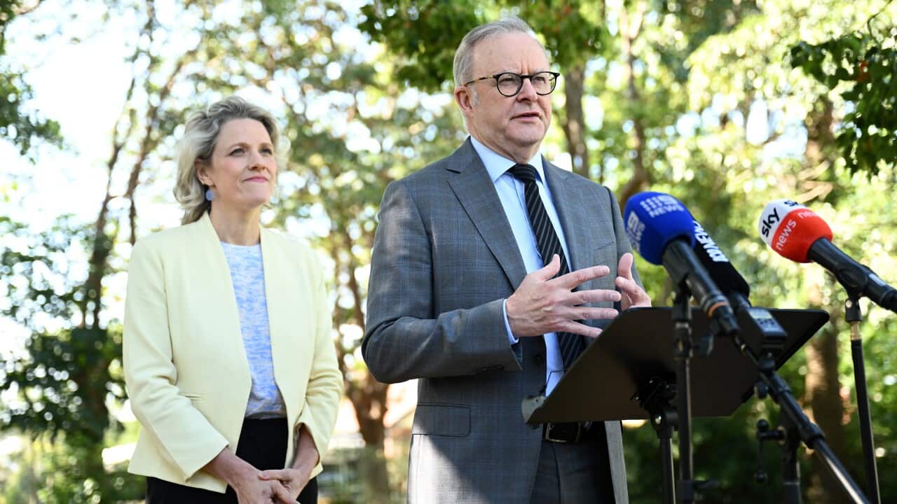 ANTHONY ALBANESE HOUSING PRESSER