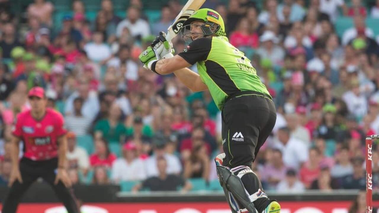 Sydney Thunder star Shane Watson