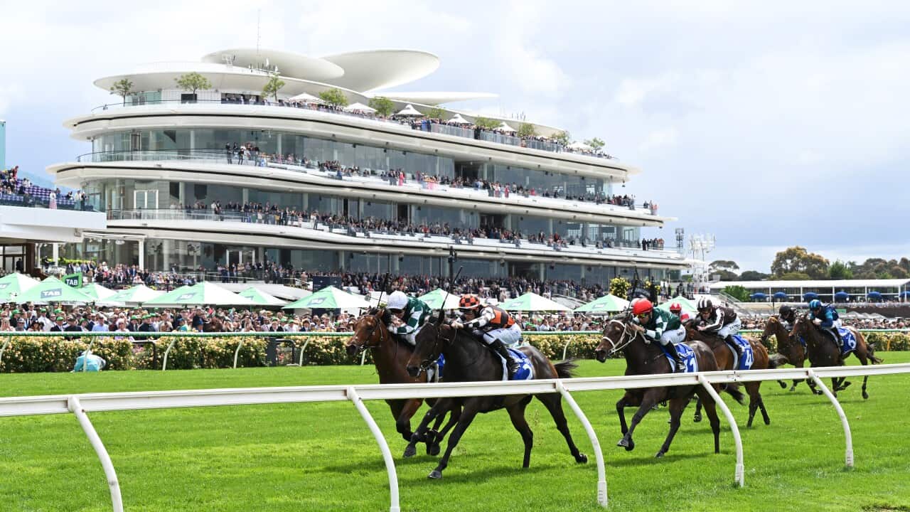 RACING MELBOURNE CUP