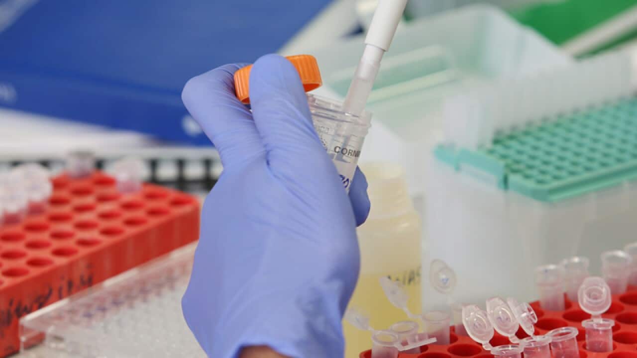 A scientist works in a medical lab