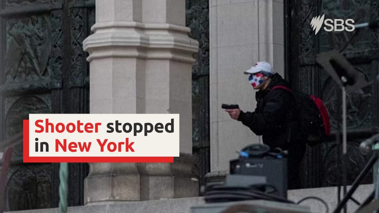 Gunman opens fire at New York cathedral during choir performance