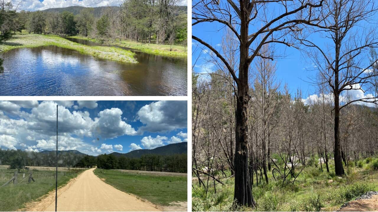 scenic road trip from Grafton to Glen Innes in New South Wales_ Australian Rural beauty