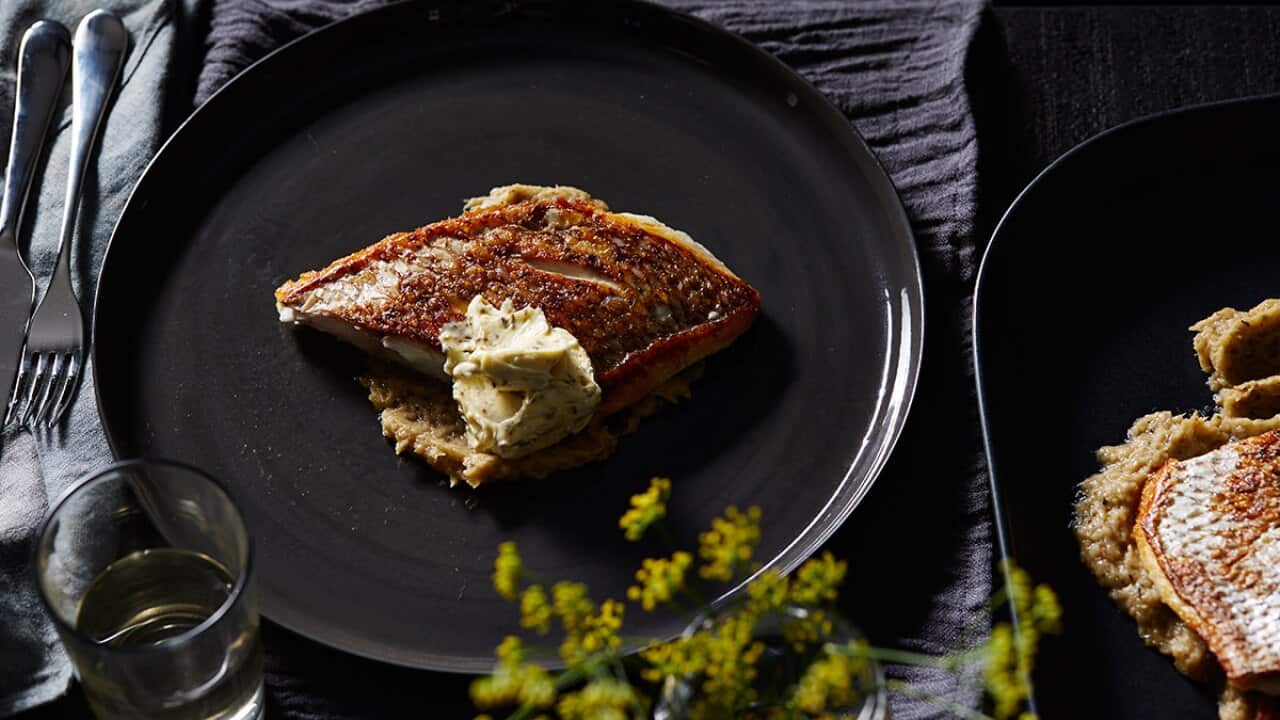 Pan-roasted snapper with fennel puree