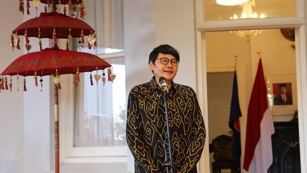 Image for read more article 'READ MORE'