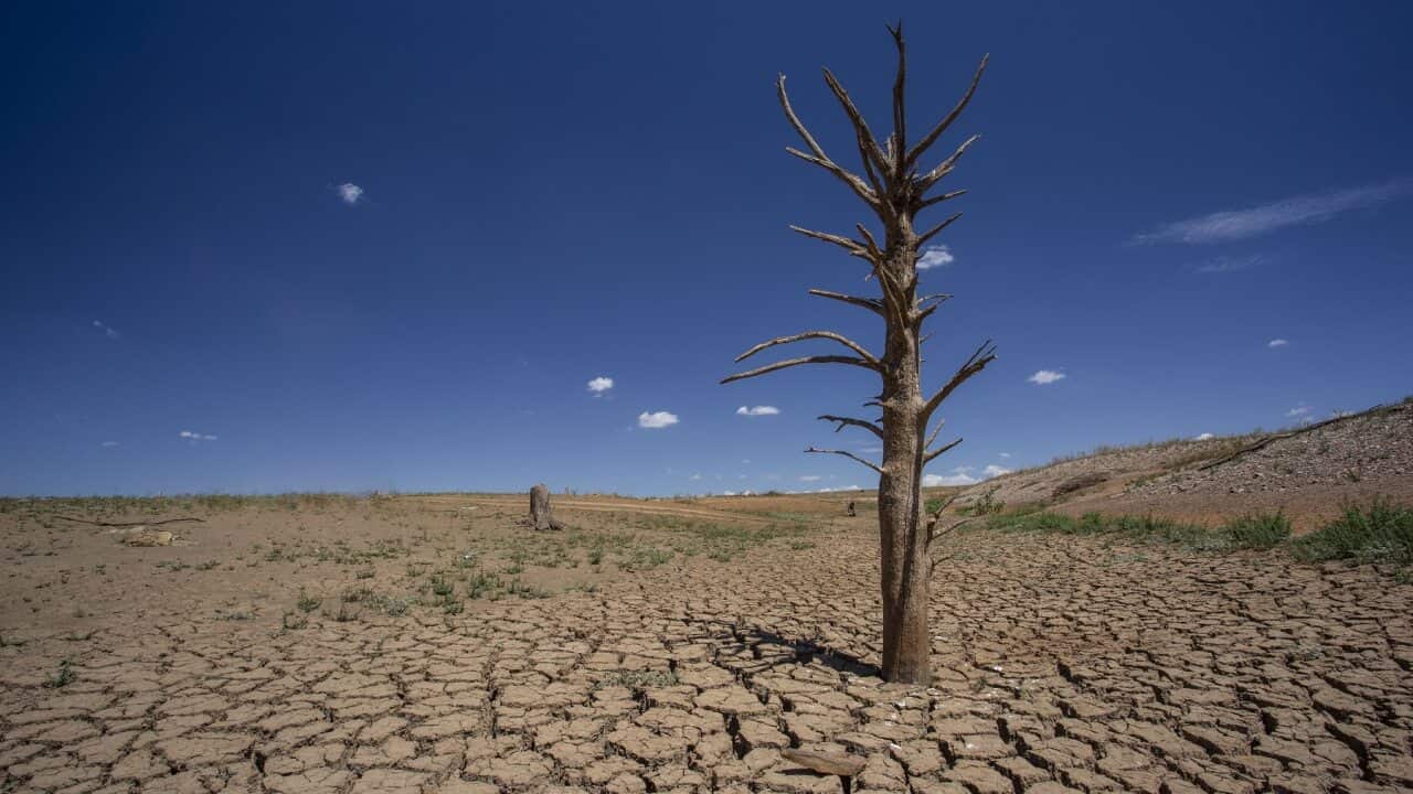 A child born in 2020 faces up to 24 times more natural disasters than their grandparents did.