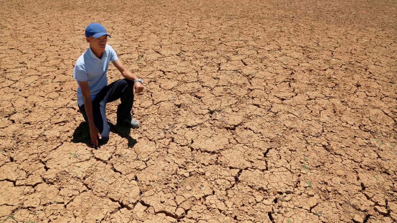 Paul van Wyk, a small scale farmer, kneels down in a cracked bed of a water pan in Vosburg, South Africa