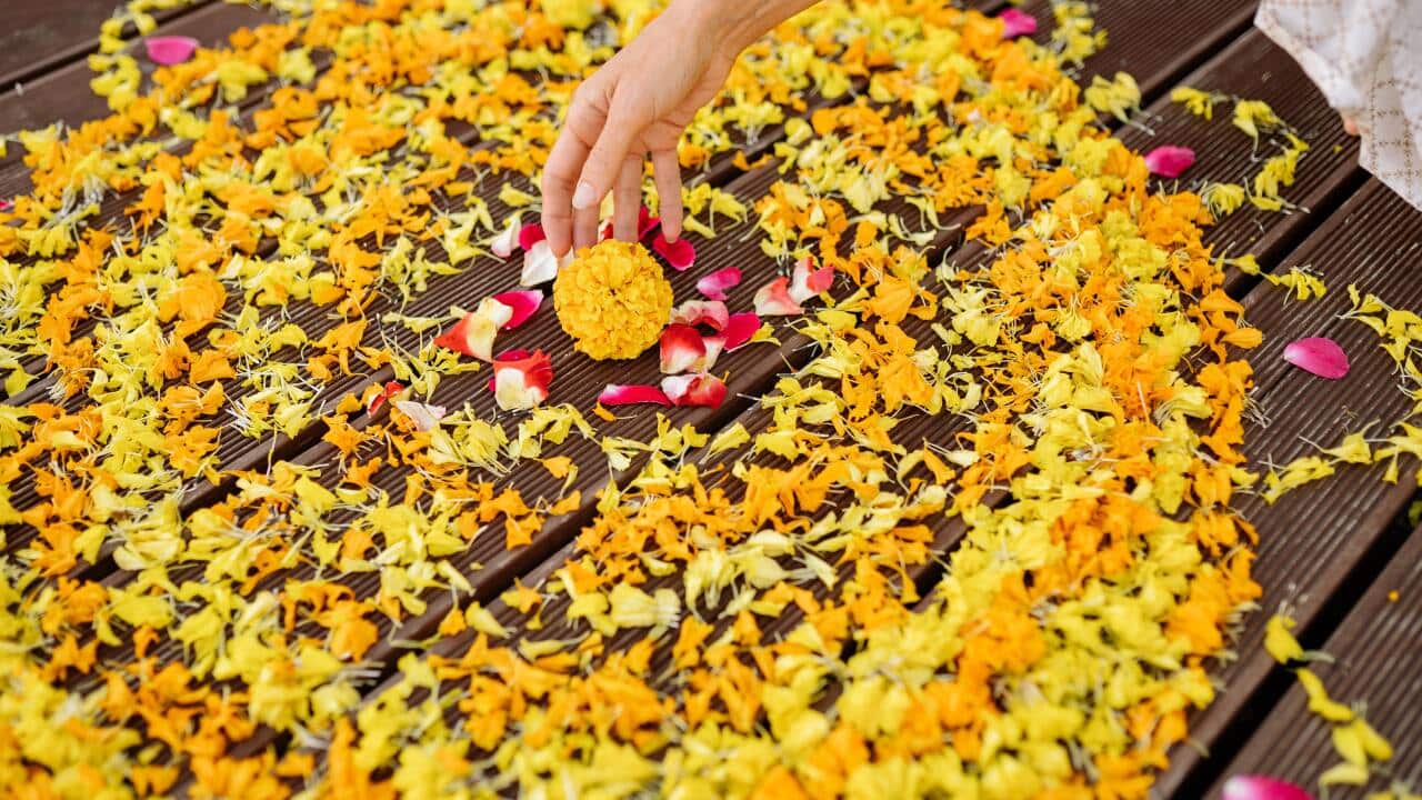 Image for read more article '2023 Events'