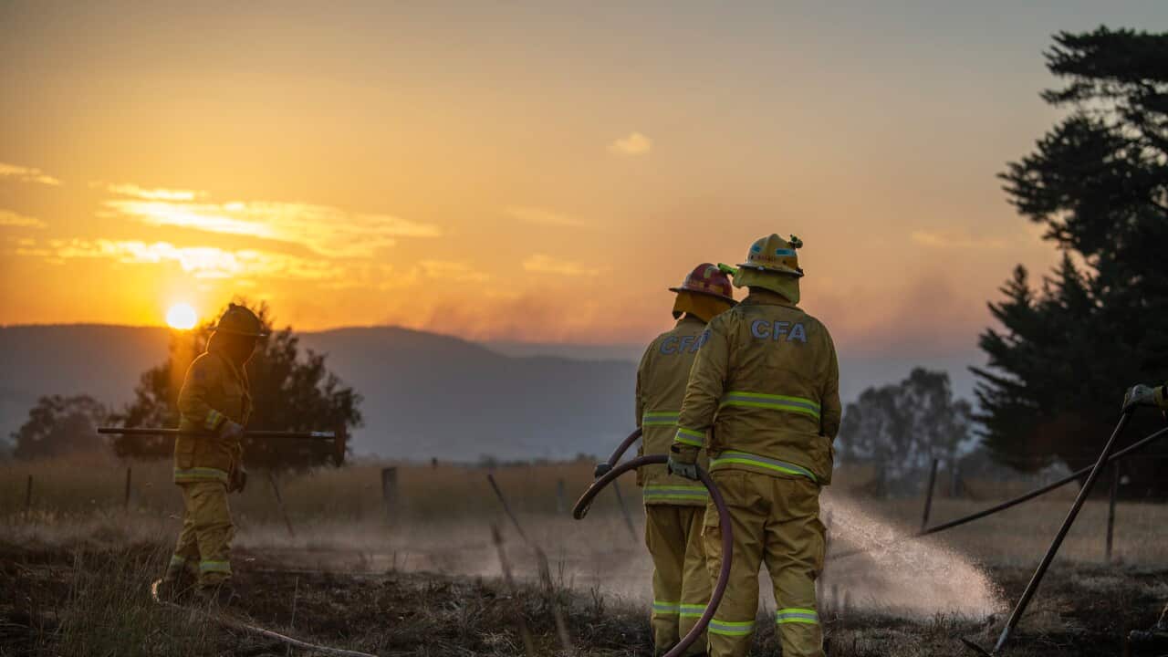 Victorian Bushfires in Australia - 10 Jan 2026