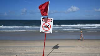 A red flag and a sign reading "danger, no swimming" on a beach, with waves in the background and a person walking along the shore.