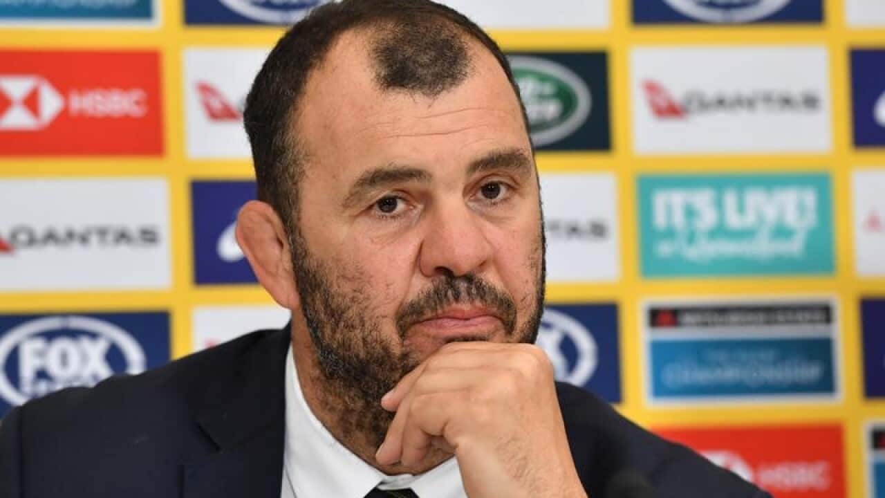 Australia coach Michael Cheika.