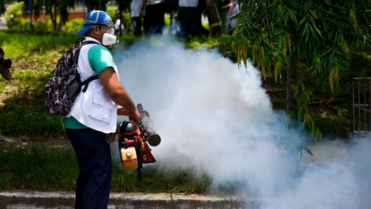 Prevention campaign against dengue fever August 25, 2020 in San Salvador, El Salvador. (Camilo Freedman - APHOTOGRAFIA - Getty Images).jpg