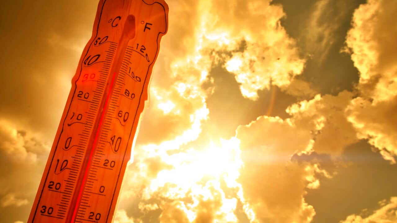 A melting street thermometer against bright summer sun