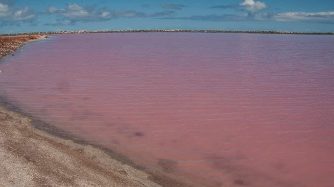 1. Pink Lake in Gregory, W.A. Flickr/Graeme Churchard CC By 2.0