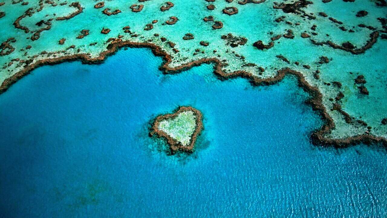 Australia will spend another $1 billion on conserving the Great Barrier Reef, after a UN warning.