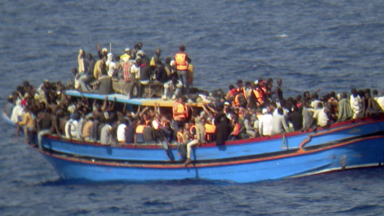 An inquiry has cleared the Maltese PM of blame after at least five migrants died at sea.