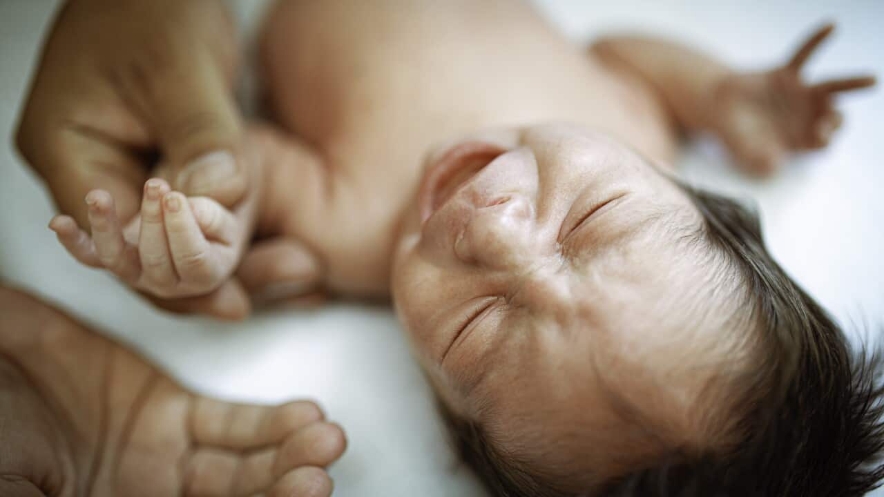 Newborn In Vitro Baby