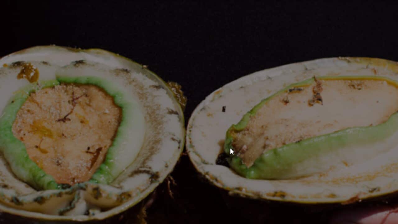 Image for read more article '更多內容'