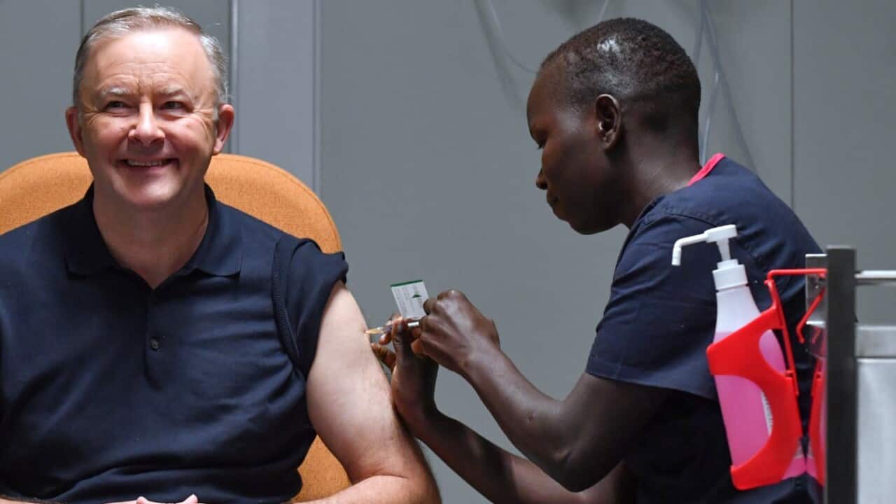 Leader of the Opposition Anthony Albanese receives his COVID-19 vaccine injection at the COVID-19 surge centre in Canberra.