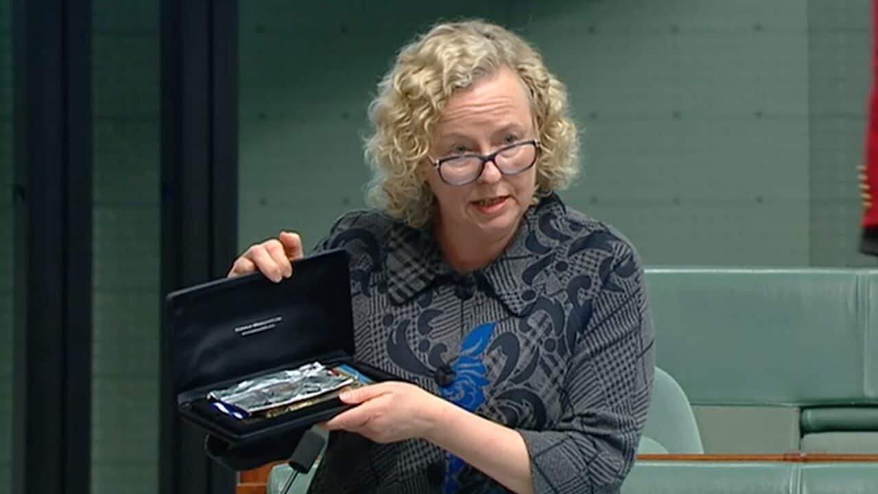 Labor MP Sharon Claydon has presented the medals of Australian war veterans in parliament.