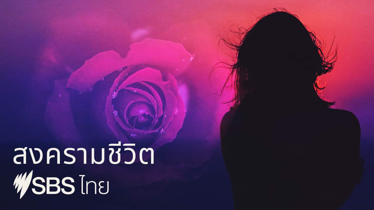 Image for read more article 'เรื่องราวอื่น ๆ ที่น่าสนใจจาก เอสบีเอส ไทย'