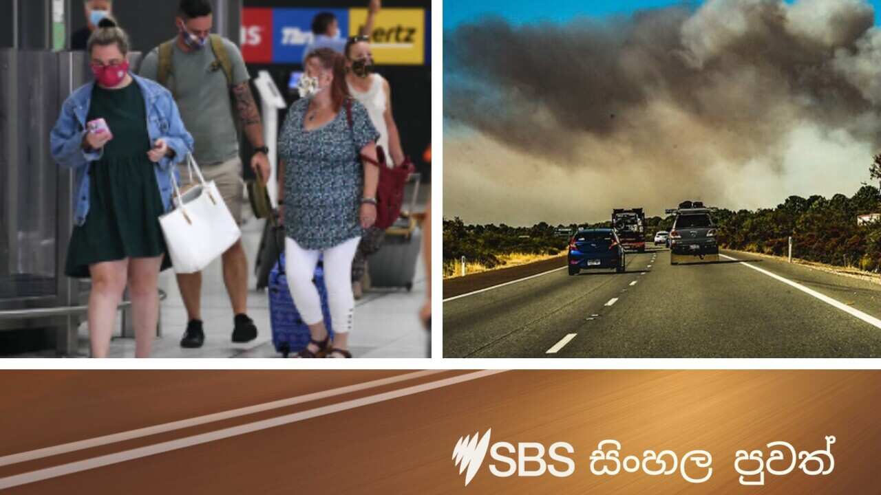 SBS Sinhala news on Thursday 04 February 2021