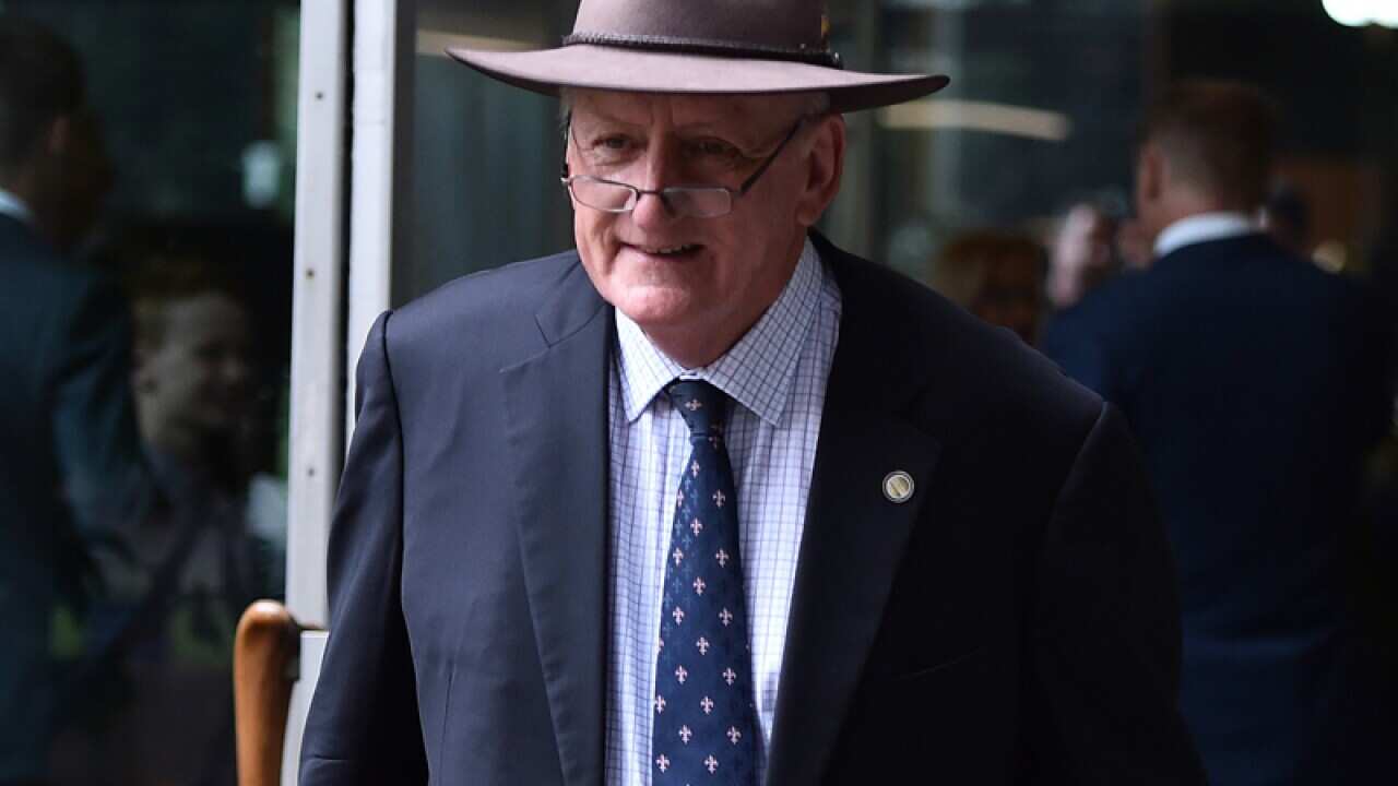 Former deputy prime minister Tim Fischer