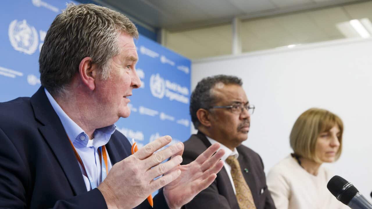 WHO executives inform the media about the current situation regarding the novel coronavirus (2019-nCoV).