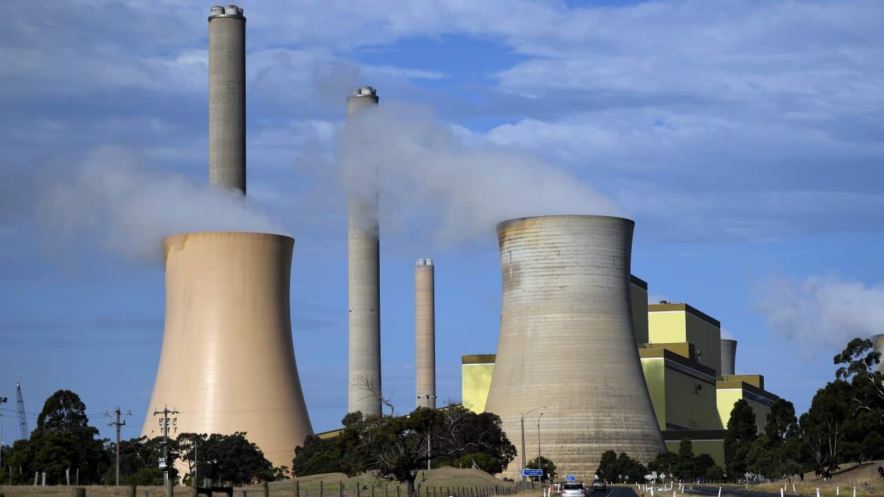 ‘Probably nobody pleas’: Labor’s ‘ambitious’ new emissions -target is confronted with criticism ‘Probably nobody pleas’: Labor’s ‘ambitious’ new emissions -target is confronted with criticism