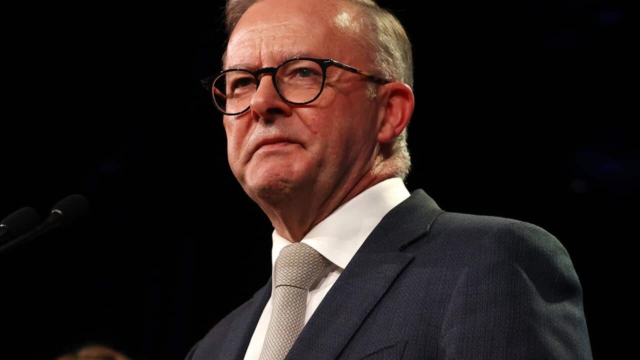 Election day wrap: Anthony Albanese's emotional victory speech, Scott Morrison to step down as party leader | SBS News