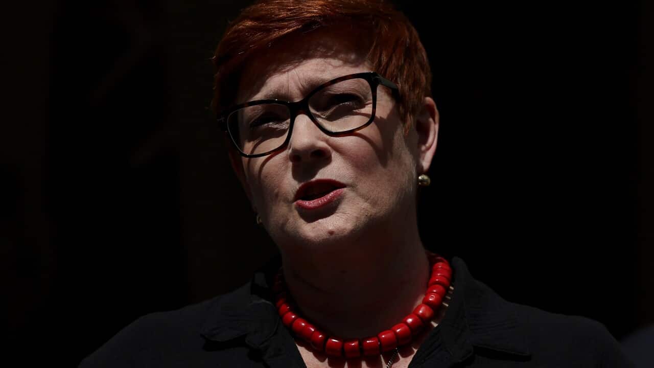 Foreign Affairs Minister Marise Payne.