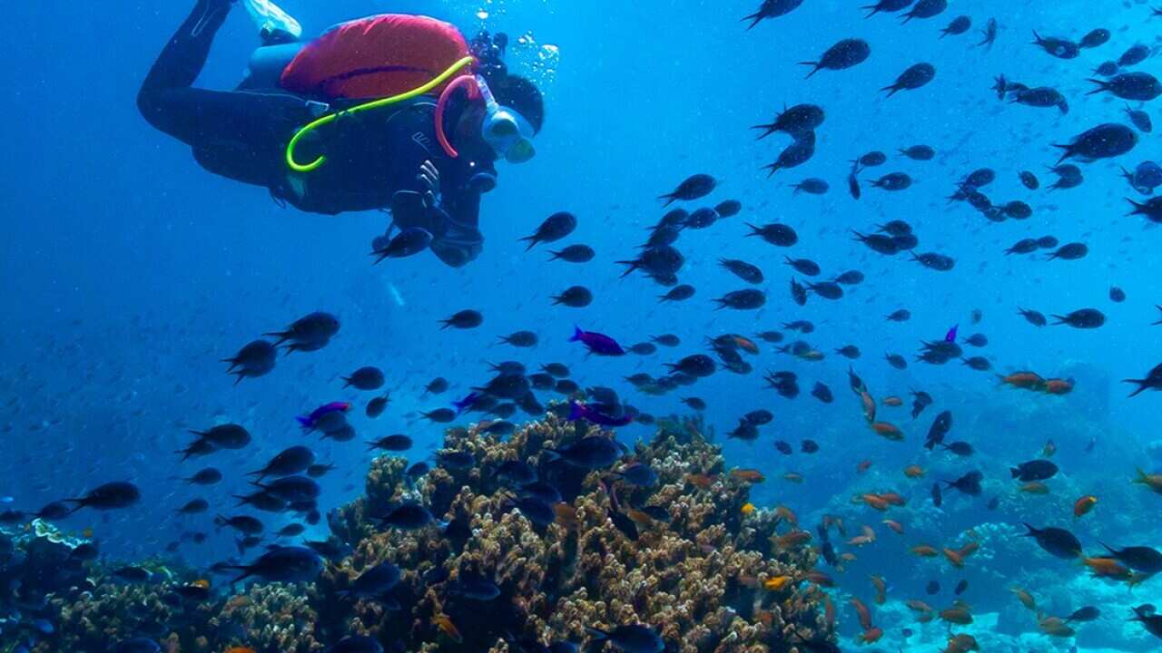 Philippine Department of Tourism