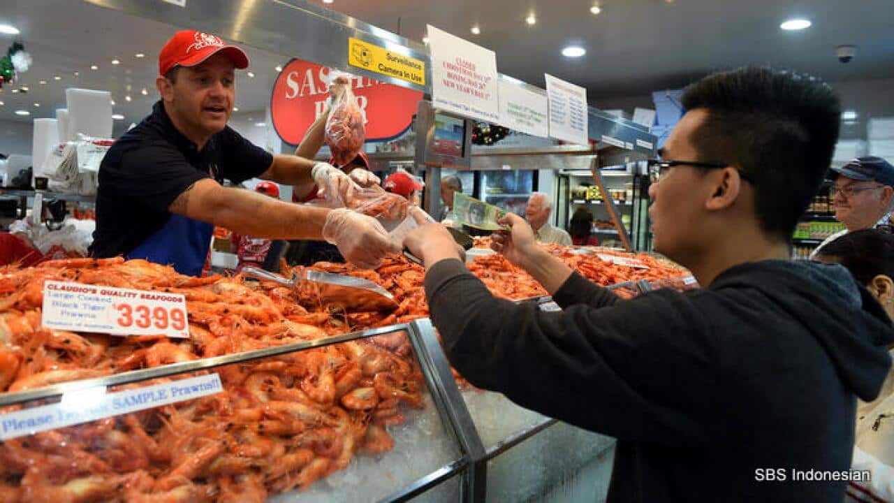 Syney Christmas 2014 - SBS